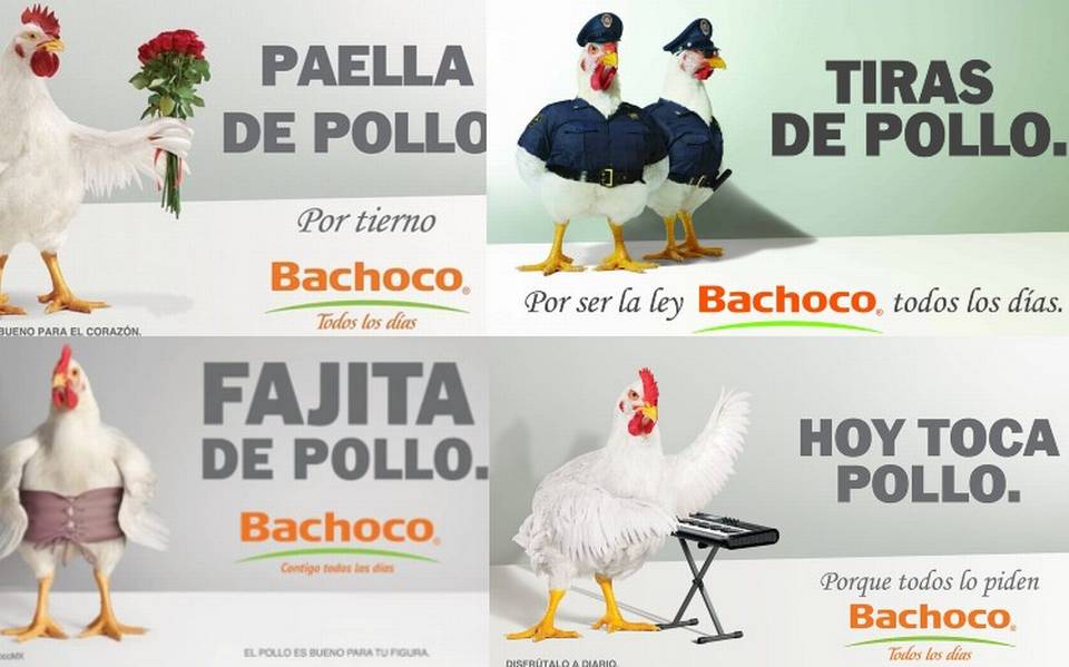 Bachoco1.jpg