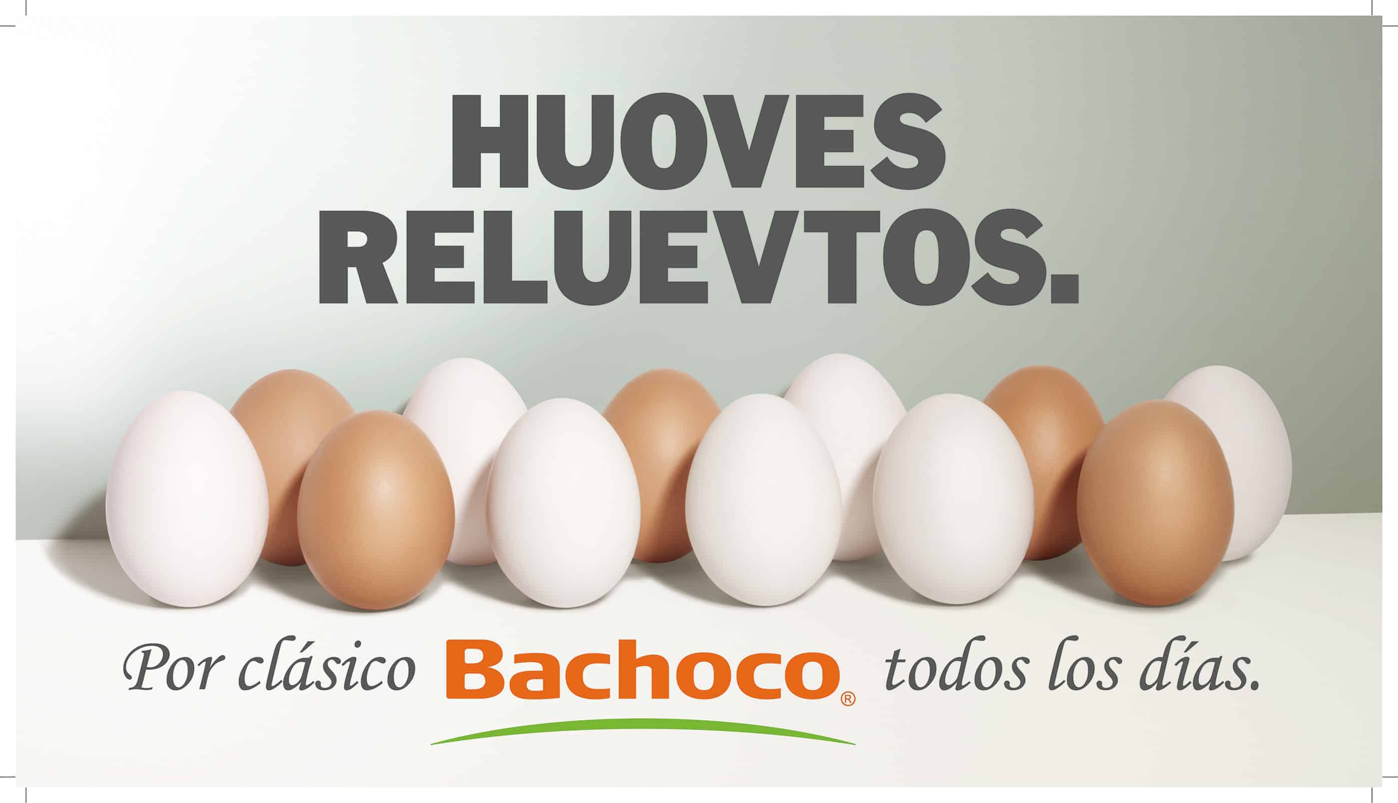Bachoco2.jpg