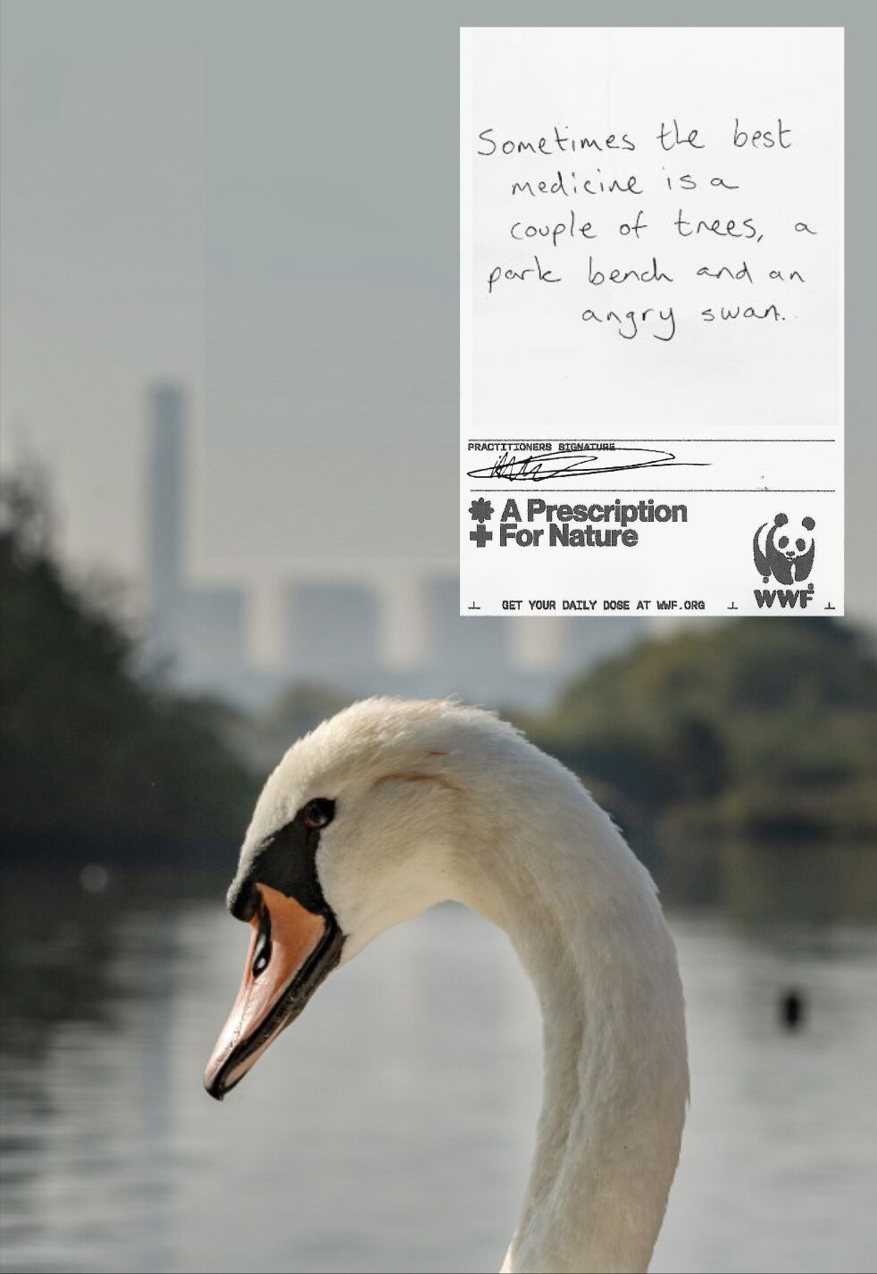 wwf_1.jpeg