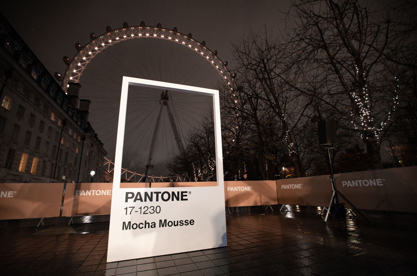 pantone_mocha.jpeg