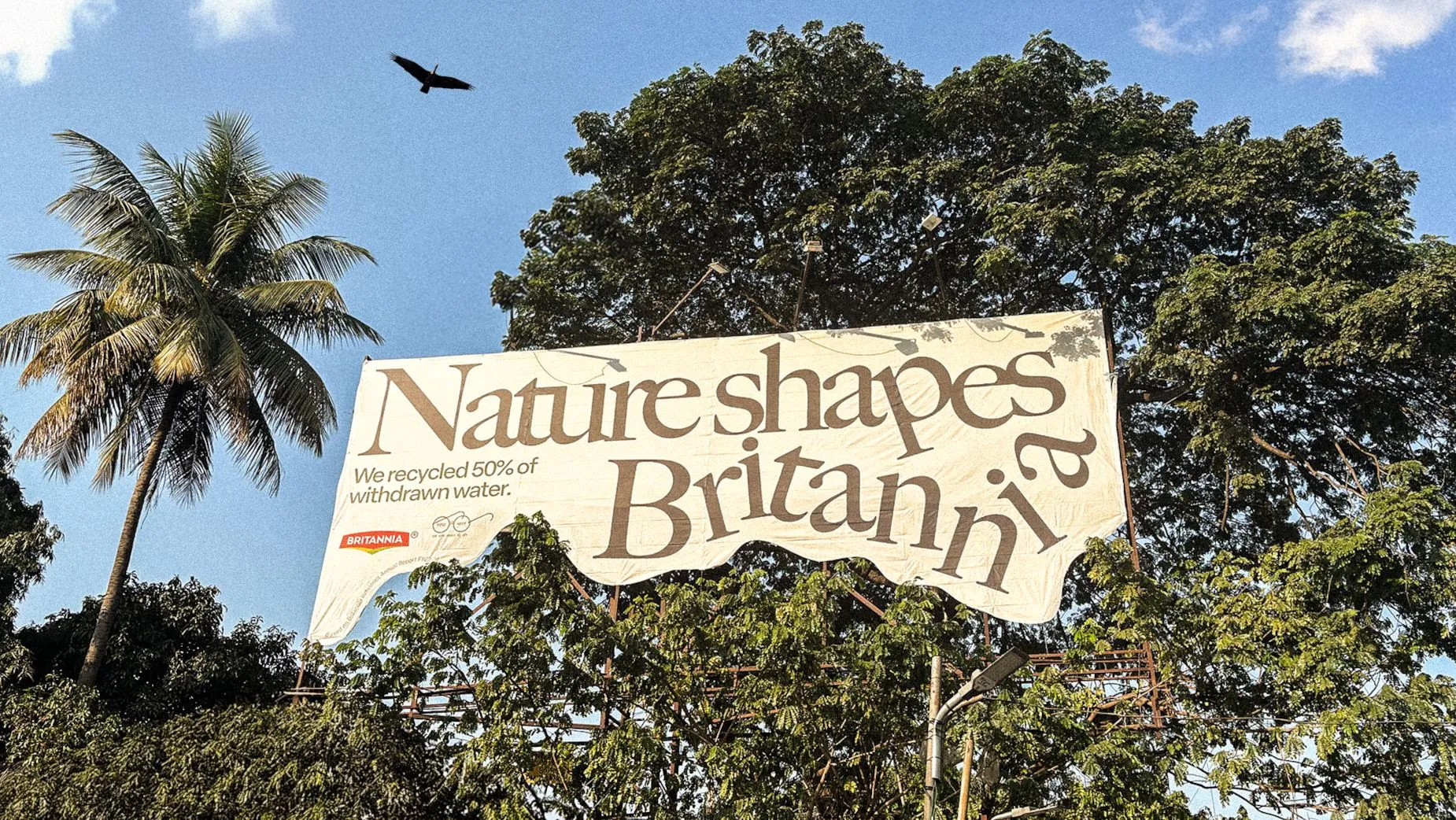 nature shapes ooh