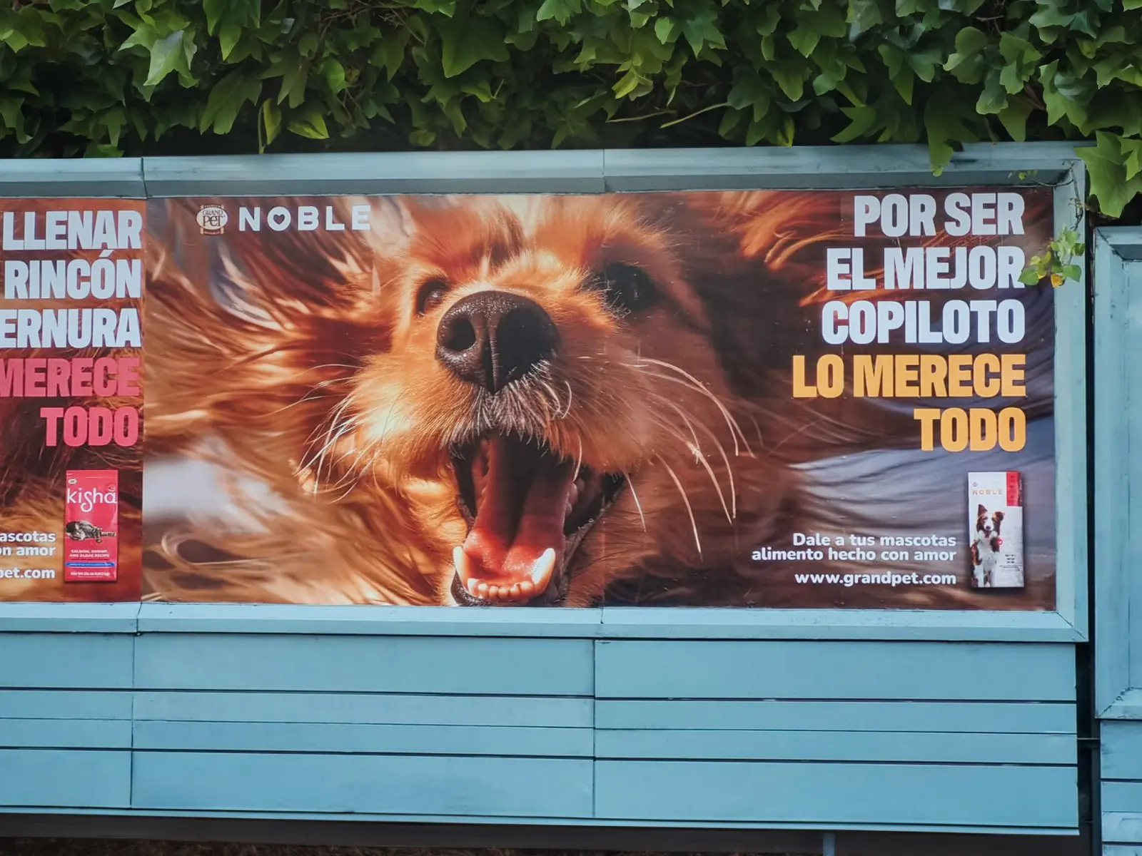 vallas fijas mexico publicidad