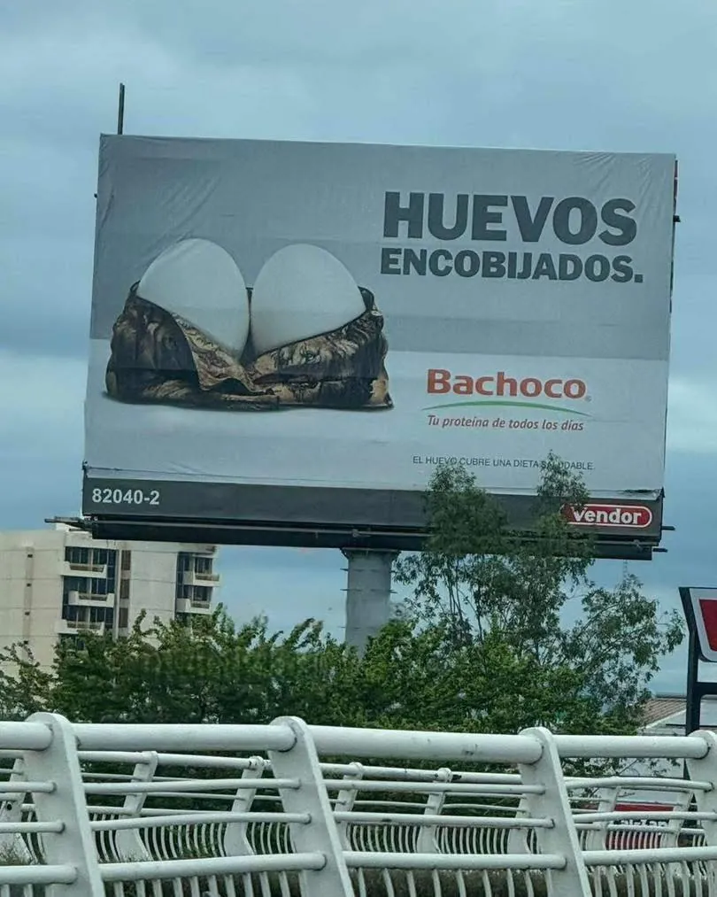 huevos encobijados bachoco espectacular