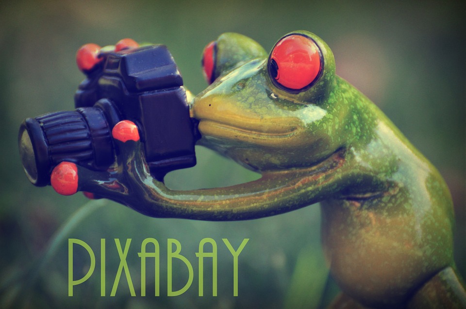 Pixabay