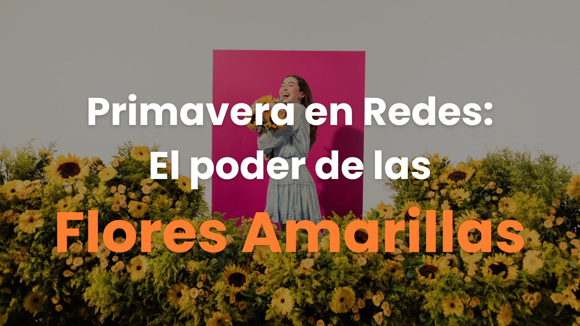 flores amarillas, primavera, 21 de septiembre, 21 de marzo, argentina, mexico, floricienta.